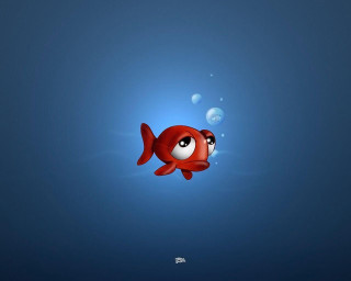 Red fish big eyes swimming 4 - bubble of water free wallpaper