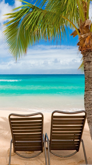 Beach two chairs palm tree - free beach wallpaper for mobile
