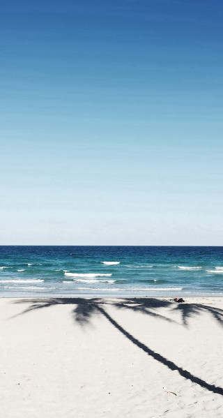 Beach palm trees blue sky - beach free wallpaper for mobile