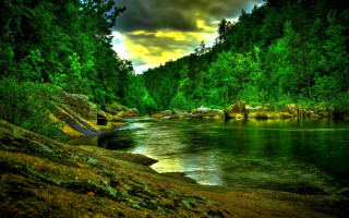 River forest moss rocks cloudy - a dark cloud free wallpaper