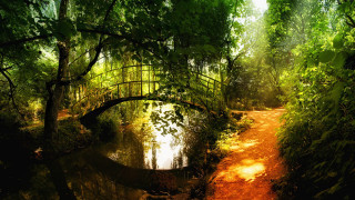 Bridge stream forest path water - a bridge over the water free wallpaper