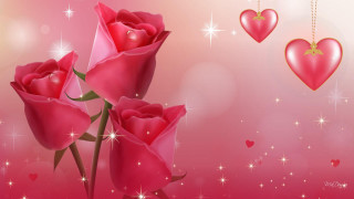 Pink background three roses hearts 2 - the ceiling free wallpaper