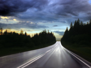 Long road trees cloudy sky - tonalism free wallpaper