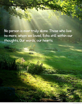 Sunny day woods quote light - sunny free wallpaper for mobile