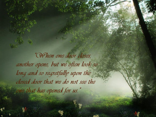 Forest quote nature beauty inspiration - sense of awe free wallpaper