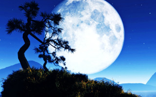 Full moon tree mountains blue - andrew law free wallpaper