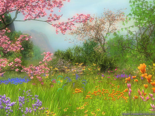 Field flowers trees mountain blue - flower and trees free wallpaper