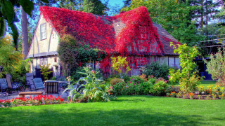 House red roof garden bench - a house free wallpaper