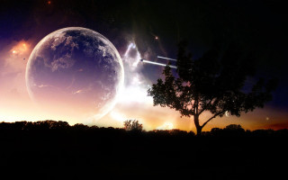 Plane tree night sky planet - over the tree free wallpaper