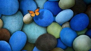 Butterfly sitting rock blue green 5 - rock and pebbles free wallpaper for desktop