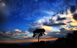 Tree silhouette cloudy sky sunset - blue sky free wallpaper for desktop