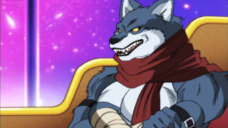 Wolf scarf chair purple background - a wolf free wallpaper