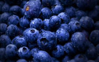Blueberries waterdroplets yelloweye macro blurry - berry free wallpaper for desktop
