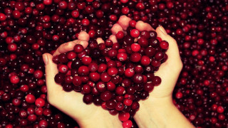 Person holding cranberries ecological art - claire hummel free wallpaper