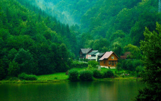 House forest lake background nature 2 - alen divi free wallpaper