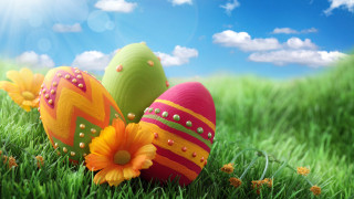 Three decorated eggs grass flowers - decorated free wallpaper
