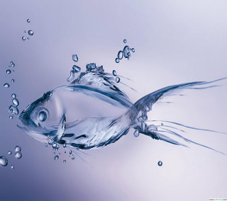 Fish swimming blue water bubbles 2 - water free wallpaper for tablet