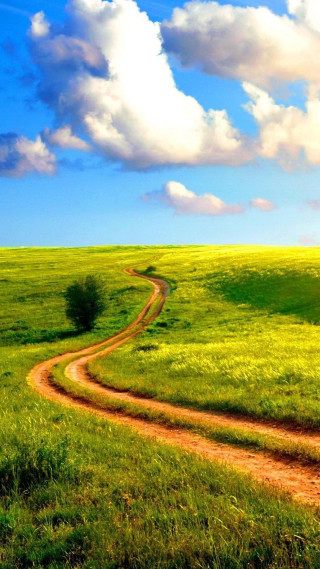 Dirt road green field cloudy 12 - the side of the road free wallpaper for mobile