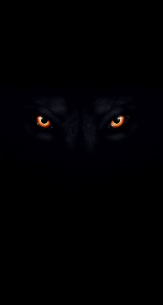 Dark wolf eyes glowing in - orange eye free wallpaper for mobile