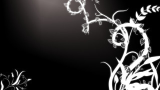 Black white flower light background - vine free wallpaper for desktop
