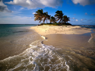 Beach small island palm trees - beach free wallpaper