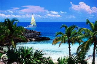 Sailboat ocean palm trees rocky - a sailboat free wallpaper