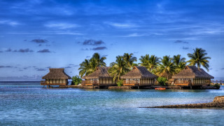 Huts beach ocean palm trees - top of a beach next free wallpaper