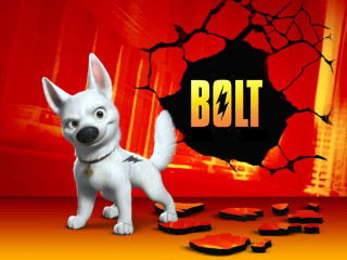 White dog standing hole ground - a white dog free wallpaper