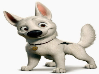 Cartoon dog with collar and - collar free wallpaper