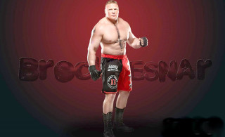 Man wrestling outfit gloves belt - romanesque free wallpaper