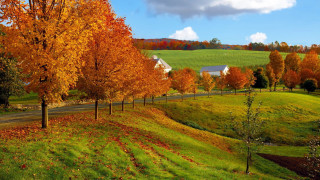 Farm road orange leaves blue - cloud above free wallpaper