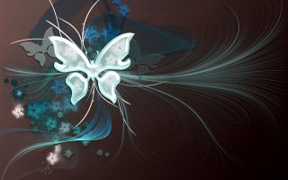 Blue white butterfly black background 2 - butterfly free wallpaper for desktop