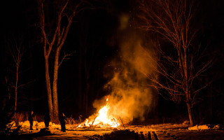 Fire forest night trees isolation - primitivism free wallpaper for desktop