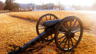 Cannon grass field house background - the ground in a field of grass free wallpaper