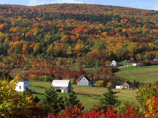Rural countryside mountain colorful trees - scenic free wallpaper