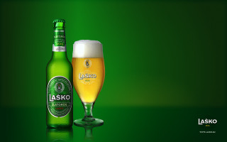 Beer bottle glass green background - bela čikoš sesija free wallpaper for desktop