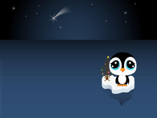 Penguin star snow bank sitting - its beak free wallpaper