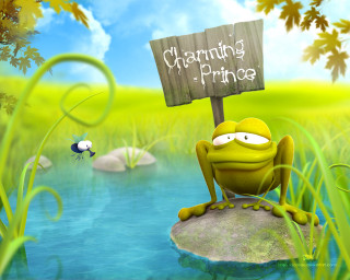 Frog sitting rock charming prince - a bug free wallpaper