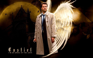 Man trench coat tie wings - a full moon behind free wallpaper