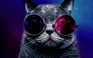 Cat sunglasses space face purple - space free wallpaper