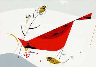 Red bird yellow flowers bug - alexander calder free wallpaper
