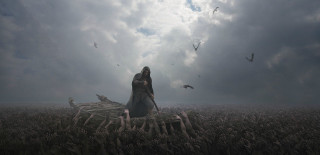 Woman field birds flying clouds - a bird in the foreground free wallpaper