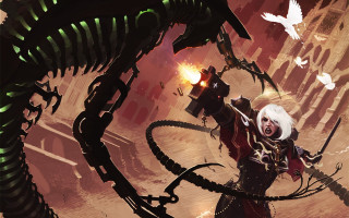 Woman weapon alien bird feathers - warhammer free wallpaper