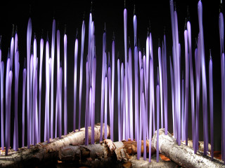 Purple candles lit dark room - bruce munro free wallpaper
