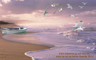 Boat beach seagulls sunset cloudy - free ship wallpaper for desktop