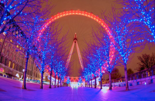 Ferris wheel night lights trees 2 - christopher wren free wallpaper