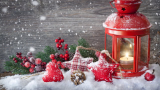 Red lantern decorations snow pine - winter free wallpaper