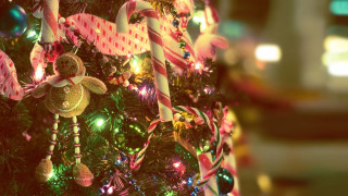 Christmas tree candy canes teddy - bokeh free wallpaper
