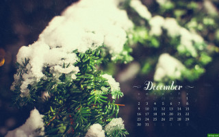 Calendar tree branch snow snowflakes - winter free wallpaper
