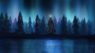Christmas tree night lake reflection 2 - a christmas tree free wallpaper